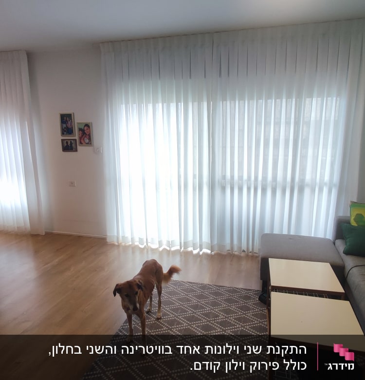 וילון לבן שקוף תלוי על חלון גדול בסלון